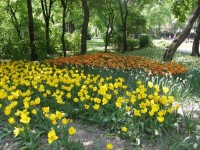 Jaro ve vídeňských parcích