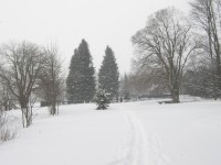 Sněhové vločky se pomalu snášejí na obnovený hřbitov Knížecích Plání