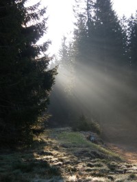 Kouzelné ráno nad chalupou na Filipově Huti