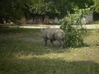 ZOO DVŮR KRÁLOVÉ NAD LABEM