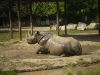 ZOO DVŮR KRÁLOVÉ NAD LABEM