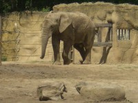 ZOO DVŮR KRÁLOVÉ NAD LABEM