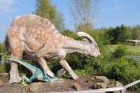 Parasaurolophus s Trodonem