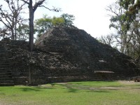 Lidský výtvor proti přírodě za asistence času, Copan, Honduras