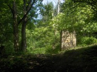 bývalá Thunovská lesovna