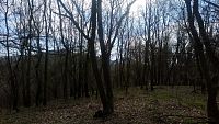 vrchol