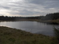 Volárenský rybník
