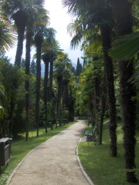 botanická zahrada