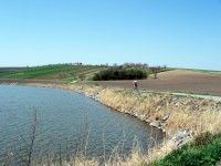 rybník Balaton u Broumovic
