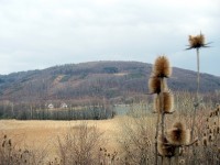 výhled ze skládky na kopec Pohoř 475 m/m