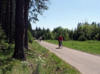 lesní cyklotrasa 5226 u Horního Štěpánova