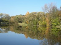 Bohuslavické rybníky