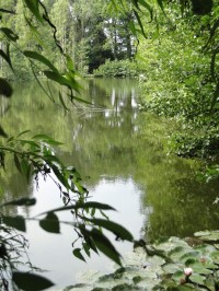 rybník Dobračov