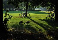 odpočinok v parku Westpark