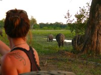 Za slony v národním parku Mana Pools - Zimbabwe