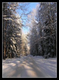 cesta na Bělečko