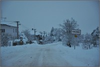 cesta od Vysokého Chvojna