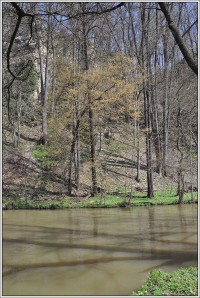 Choceň-PELINY