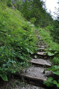 jdeme po modré -TISŇAVY