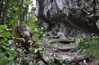 jdeme po modré -TISŇAVY