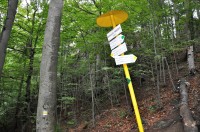 kousek po žluté a chytáme se na modrou ZBOJNICKÝ CHODNÍK