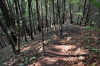 jdeme po modré- TISŇAVY