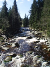 Šumava