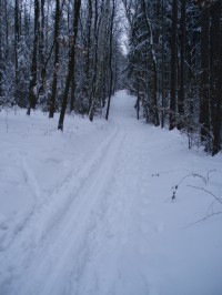 Jak odstranit starý vosk z lyží