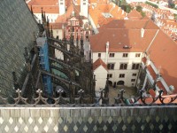 Katedrála sv. Víta