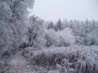 Zima na Ostrovci 2007
