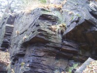 skalní Vrása u města Osek