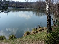 rybník Dubice