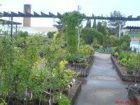Miniarboretum a prodej okrasných rostlin LITOMYŠL