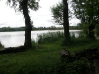 rybník Rosnička