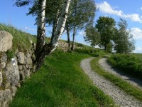 cesta přes Novohradské Hory