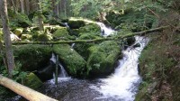 vdp.Svatého Wolfganga
