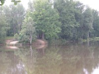Borovanský rybníček
