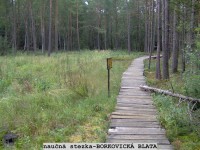 Borkovická Blata