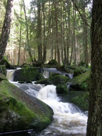 vdp.Svatého Wolfganga
