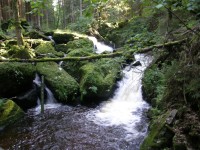 vdp.Svatého Wolfganga