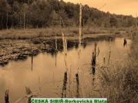 Borkovická Blata