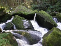 vdp.Svatého Wolfganga