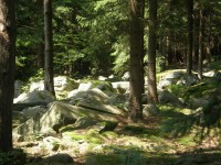 Štamberk-rezervace