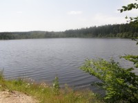 Velký Pařezitý rybník