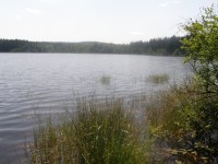 Velký Pařezitý rybník