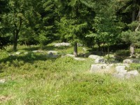 Štamberk-rezervace