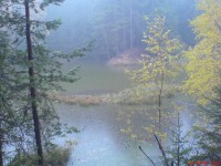 LOUPEŽNICKÉ JEZÍRKO-lesní jezírko ve Svitavských lesích