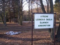 arboretum Lesnické školy-Kunratice u Šluknova