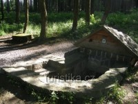 lesní studánka