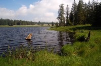 rašeliniště Tajga-Slavkovský les